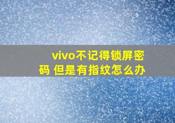 vivo不记得锁屏密码 但是有指纹怎么办